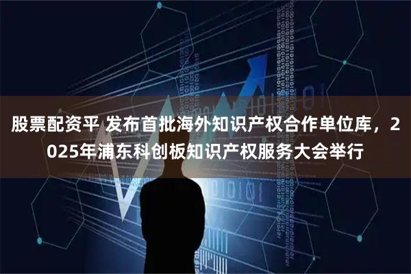 股票配资平 发布首批海外知识产权合作单位库,2025年浦东科创板知识产权服务大会举行