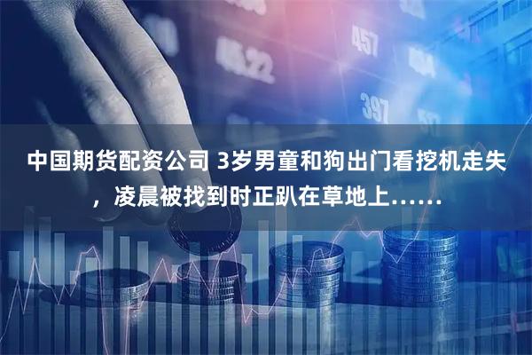 中国期货配资公司 3岁男童和狗出门看挖机走失，凌晨被找到时正趴在草地上……