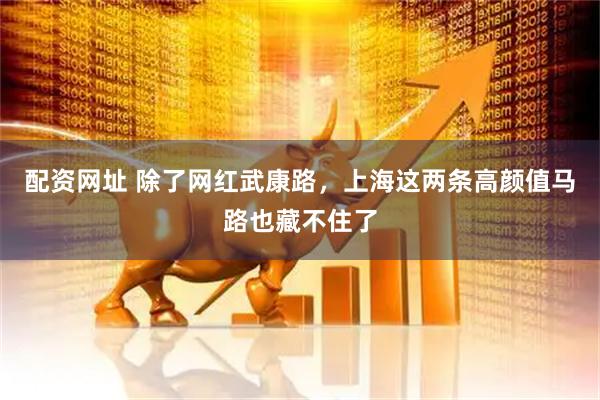 配资网址 除了网红武康路，上海这两条高颜值马路也藏不住了